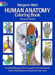 Perfect for introducing the main organs of the body including; Human Anatomy Coloring Book An Entertaining And Instructive Guide To The Human Body Bones Muscles Blood Nerves And How They Work By Margaret Matt