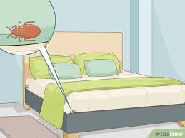 How to use diatomaceous earth for home cleaning. 3 Ways To Apply Diatomaceous Earth Wikihow