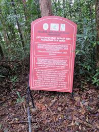 It has a meaning close to intoxicant and is talking about things that impact your ability to function mentally. Wikiloc Kampung Sungai Limau Trail