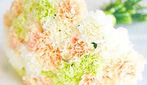 Check spelling or type a new query. 10 Most Romantic Flowers For The Woman You Love
