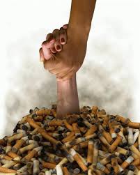 Daca inoti cu delfinii, acest vis are o semnificatie puternica, mai ales daca intre tine si delfini exista o comunicare. Ce Un Vis Pe Care Eu Fumez Ar Trebui SÄ Ne Fie FricÄ