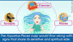 Cancer will feel cared and will appreciate honesty of aqua a lot. An Aquarius Pisces Cusp Is The One Who Loves The Idea Of Being In A Relationship This Person Values Emotions Unity Frie Aquarius Pisces Cusp Pisces Aquarius
