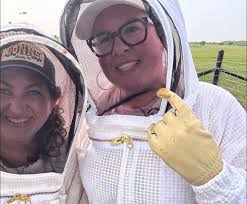 COLONIES • HIVES • SERVICES \\..Our Local T.carbonaria Propagation  Industry..// Sydney & Surrounding Regions • hive care • colony welfare •  fair share •  :::::::::::::::::::::::::::::::::::::::::::::::::::::::::::::::::::::::::::::::::::  SYDNEY HIVES ...