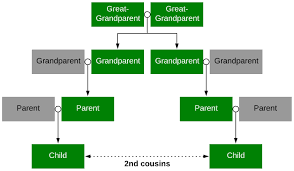 cousin calculator how to calculate cousinhood and family