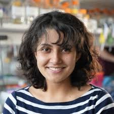 Incredibly excited to join the Stowers Institute and lead a lab answering  fundamental questions in protein biology, including how new protein folds,  assemblies and allosteric functions arise during…