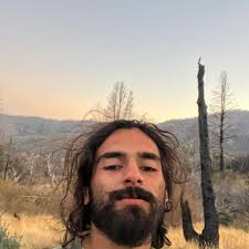 Anyone breeds all white xl bully i want a male in near future 🤍