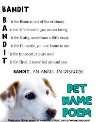 Acrostic Pet Name Poem Acrostic Pet Poem For Your Name Bandit An Angel In Disguise B Is For Bizarre Out Of The Ordinary A Pet Poems Acrostic Pet Names