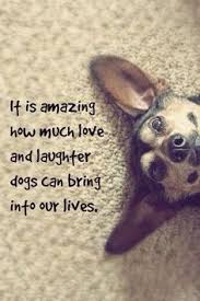 In your eyes, dogs always win as the sweetest, cutest, and most lovable pets. 120 Animal Rescue Quotes Ideas Animal Rescue Rescue Quotes Rescue