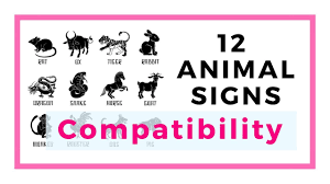12 Chinese Animal Signs And Their Compatibility Trinity Combination Allies And Conflicting Sign