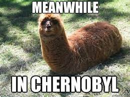 Meanwhile In Chernobyl Alpacapillar Quickmeme