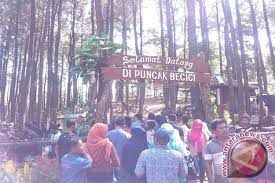 Jalur Wisata Imogiri Dlingo Akan Dilebarkan Antara News Yogyakarta Berita Terkini Yogyakarta
