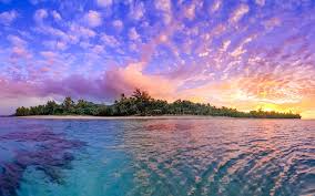 We'll show you to make great meals. Cook Islands Extends Border Closure For Inbound Travel Rnz News