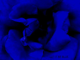 Peoples are searching for a good, cool, and stylish dp searching and visiting many websites and no. Rose Wallpaper Cool