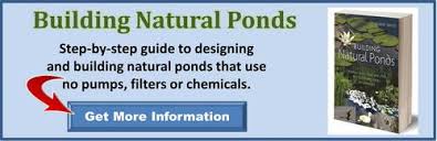 Epsom salt has a wide variety of uses, anything from home remedies to uses around your home and garden. Epsom Salt For Plants Garden Myths