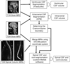 automated quantitation of spinal csf volume and measurement