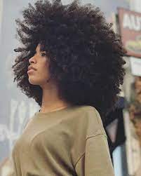 Demystifying Natural Hair 5 Day Online Course A Drop Of Black Curly Hair Styles Hair Styles Hair Looks
