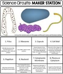 Getting Nerdy Science Life Science And Biology Lessons In 2020 Biology Lessons Life Science Life Science Lessons