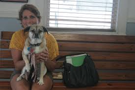 Apr 12, 2021 · we're proud to offer active duty u.s. Here S Everything You Need To Know About Transporting Pets Overseas