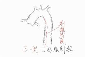 56829 12 3 4 5 6 7 8 9 10. æ­¡è¿Žå…‰è‡¨äºžæ±ç´€å¿µé†«é™¢