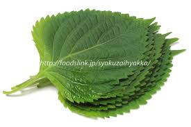 写真で観るえごまの葉 エゴマの葉 荏胡麻の葉 旬の野菜百科