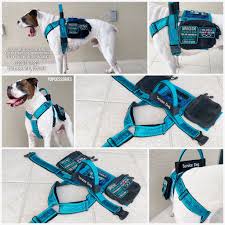 Check out our service dog vest selection for the very best in unique or custom, handmade pieces from our pet supplies shops. Dog Harness Service Dog Harness Service Dog Gear Dog Collars Leashes Pet Harness Service Dog Vests Service Dogs Service Dogs Gear