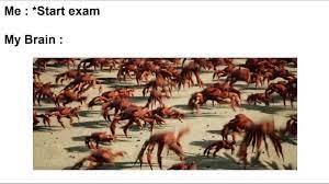 It S Crab Rave Best Funny Pictures Rave Meme Work Memes