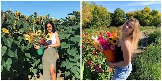 Menu & reservations make reservations. Flower Farm In Saskatchewan Where You Can Pick Your Own Bouquet Is So Cute Narcity
