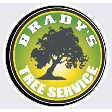 Wauwatosa is located immediately west of milwaukee. Brady S Tree Service Tree Care Company Waukesha Wi