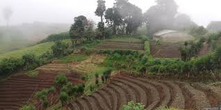 English grammar guide‏ @enggrammarguide 16 мая. Inter American Institute For Cooperation On Agriculture Iica Global Bioeconomy Summit 2020