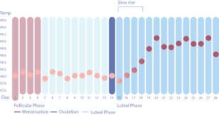 10 Signs Symptoms Of Low Progesterone Levels Ayda Blog