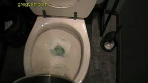 Lack of clean water will ravage you and your family much quicker and more critically than any shortage of food. How To Flush Your Toilet With A Bucket Of Water Plumbing Problems Youtube