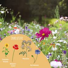Pin Auf Garten