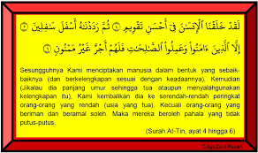 Laman Pendidikan Islam Cikgu Zaidi Razali Menuntut Ilmu Hingga Ke Akhir Hayat Poster Ayat Al Quran Surah At Tin Ayat 4 Hingga 6