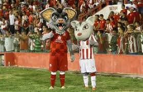 🇬🇳 | página dedicada ao cação nova mascote do sampaio @dompedror. Fotos Nautico Estreia Novo Mascote Cabuloso Em Vitoria Contra O Sampaio Correa Superesportes