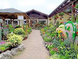 Der eigene garten ist das ganze jahr über ein wunderbarer rückzugsort, ein treffpunkt für freunde und familie und ein kleines paradies im grünen. Gartnerei Beck In Taufkirchen Blumen Erleben