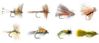 The nice thing about backcountry fly fishing is the simplicity. Best Dry Fly For Rainbow Trout Off 78 Medpharmres Com