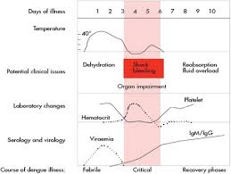 Check spelling or type a new query. Predicting Outcome From Dengue Bmc Medicine Full Text