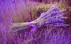 Lavender Wallpaper Desktop Kolpaper Awesome Free Hd Wallpapers Customize your desktop, mobile phone and tablet with our wide variety of cool and interesting aesthetic wallpapers in just a few clicks!