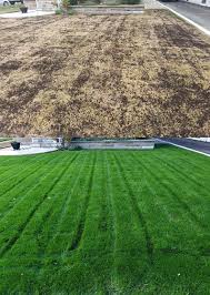 Benefits of hiring lawn care services in hamilton. Taylor Lawn Care Lawn Seeding Hamilton Overseeding Hamilton