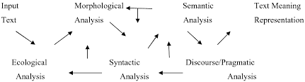 If a word qualifies an adjective then it will be called an adverb. Ontological Semantics Qualifying Versus Relational Adjectives Chapter 3 Relational Adjectives In Romance And English