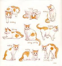 Cybergata Fun With Kittehs Found On Tumblr Cat Sketch Cat Art Animal Drawings