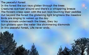 Feeling connected to the forests and nature. Beautiful Forest Poem By Aim4beauty On Deviantart