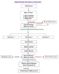 Peer Review Process