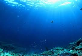 Kedalaman palung ini mencapai 10.545 meter di bawah permukaan laut. Apa Laut Terdalam Apa Laut Terdalam Di Dunia