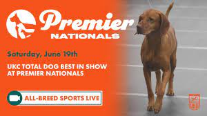 Grey high gloss kitchen units set mb 7 kitchen units with worktops 260cm express. Ukc Premier Nationals Total Dog Best In Show Youtube