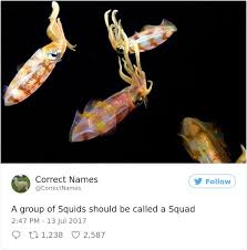 Biology Group Chat Names Tik Tok Correct Name Funny Funny Pictures Funny Cute