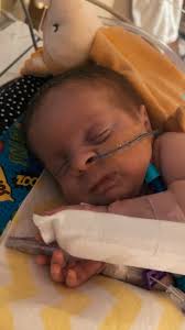 Grandchildren bring joy to grandparents