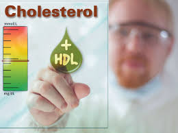 Các nguyên nhân khiến cholesterol tăng cao
