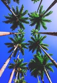 46 Summer Aesthetic Ideas Summer Aesthetic Summer Summer Vibes See more ideas about ocean wallpaper, summer wallpaper, beach aesthetic. 46 summer aesthetic ideas summer