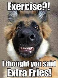25 Goofy Memes Of German Shepherds That Will Make You Laugh All Day Funny Animal Memes Animal Jokes Funny Animal Quotes